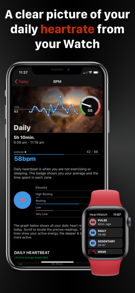 HeartWatch app interface showing daily heart rate trends and metrics on iPhone and Apple Watch