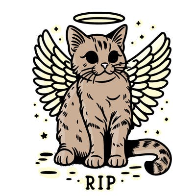 rip cat realistic cat with angel wings