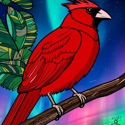 cardinal and blue jay and sparrow