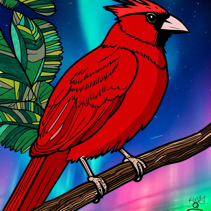 cardinal and blue jay and sparrow