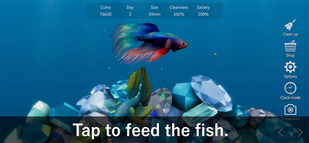 Bettarium - Betta Fish Tank - Two vibrant betta fish in a digital aquarium with crystal substrate and feeding instructions