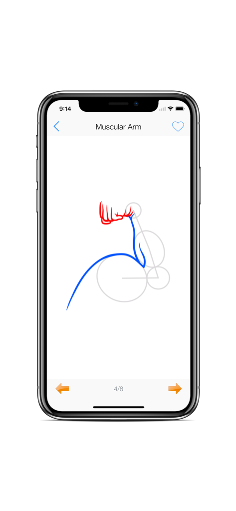 Draw Human Body - Hair Style - Step by step guide for drawing a muscular arm on a smartphone screen