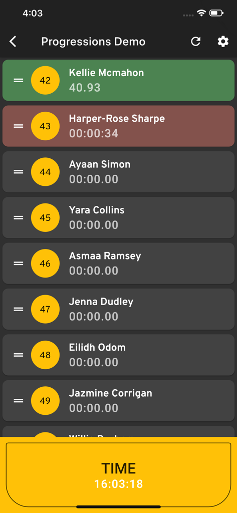 RaceGorilla Pro - Interface de chronométrage en direct RaceGorilla Pro affichant les noms des participants, les dossards et les durées des courses.