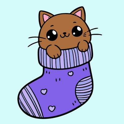 cute cat in a sock