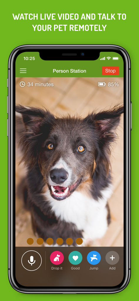 Dog Monitor - 犬のライブビデオフィードとリモートコミュニケーションボタンが表示されたドッグモニターアプリインターフェースを示すスマートフォンの画面