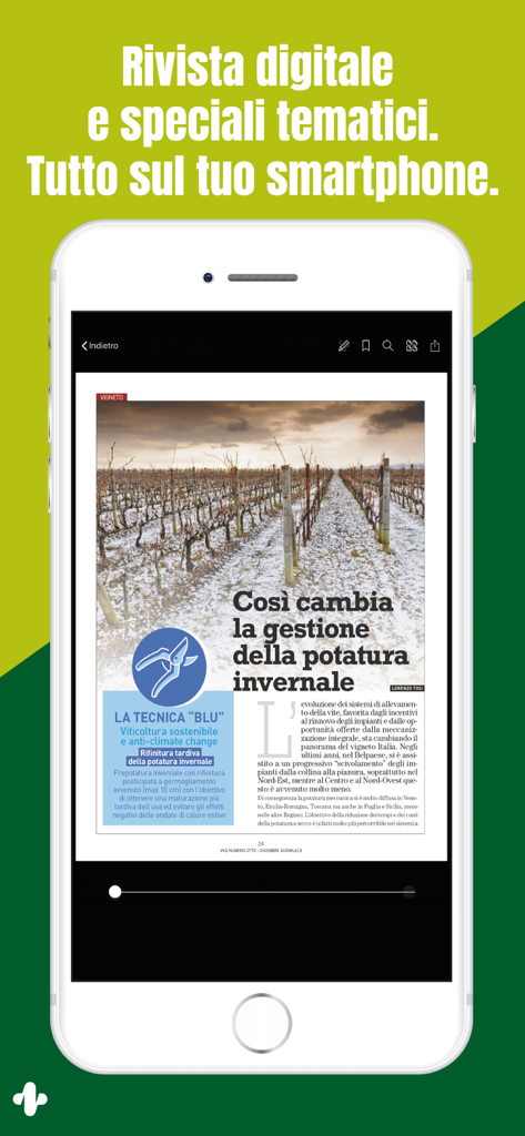 Pantalla de smartphone mostrando un artículo de viticultura en la app VVQ