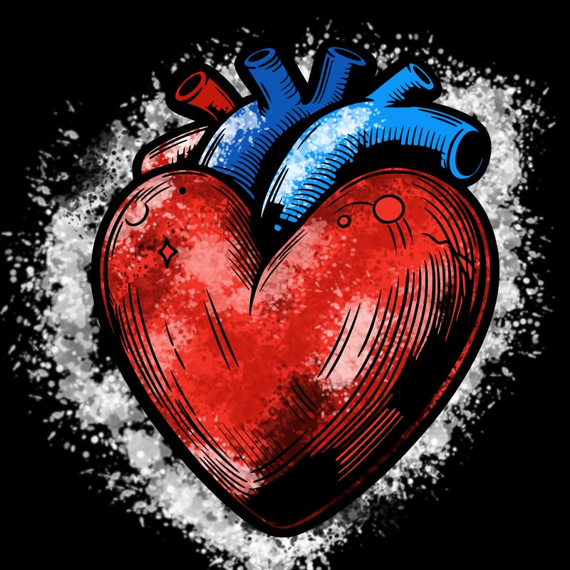 realistic heart
