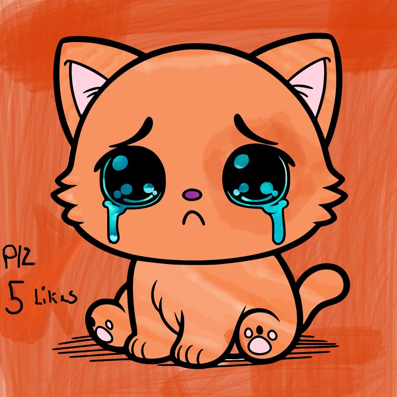 sad baby cat