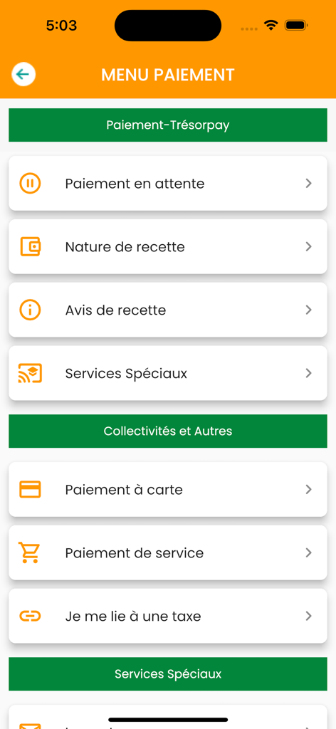 Payment menu screen of the Tresor Money app displaying options for government revenue and service payments.
