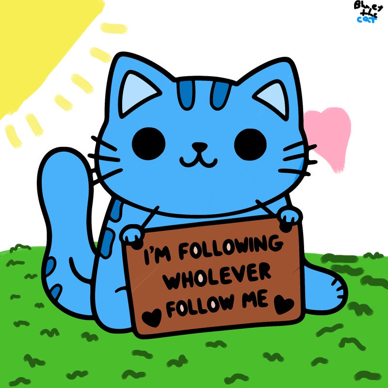 cat with a sign that says i’m following whoever follows me