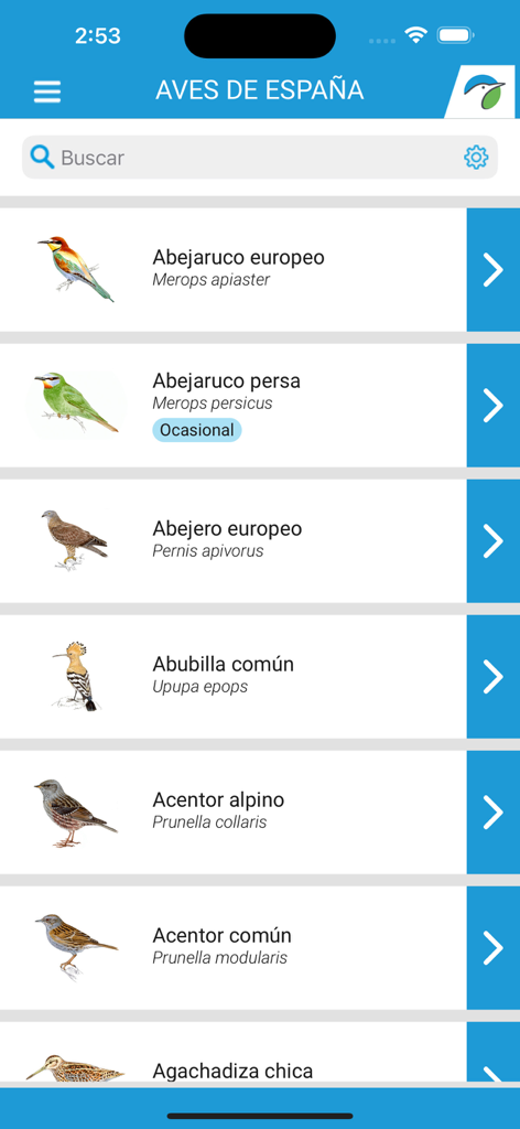Una lista de especies de aves en la aplicación Las Aves de España mostrando ilustraciones y nombres científicos