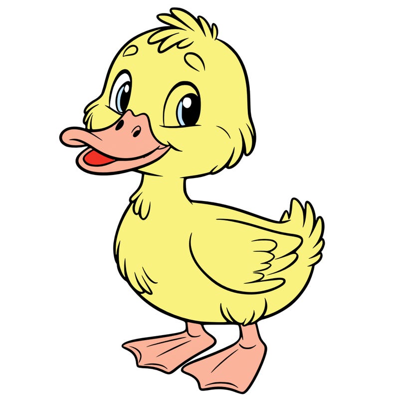 duck