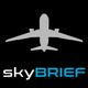 skyBRIEF