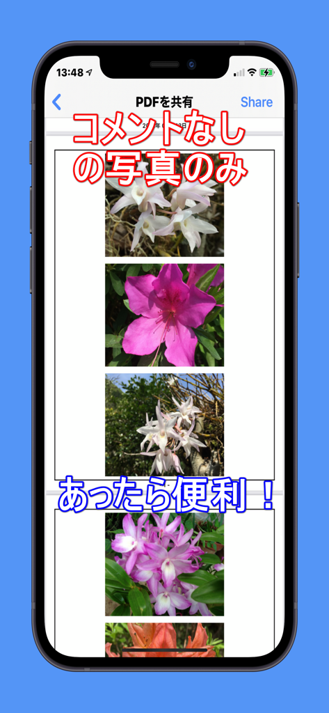 共有準備完了のPDFレポート形式で、花の写真の縦シーケンスを表示するフォトブック作成アプリのモバイルインターフェイス。