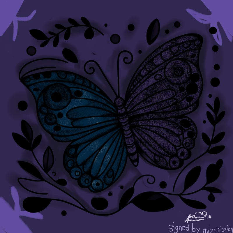 butterfly
