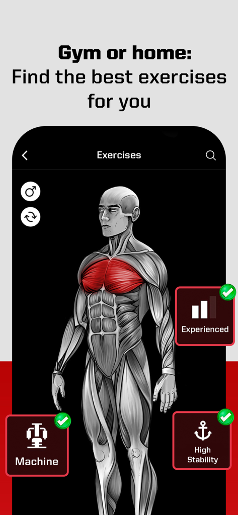 Fitness Exercises: Lightweight - Lightweightフィットネスアプリの胸筋を強調表示する3D解剖モデル。経験豊富なユーザーやマシントレーニング向けの運動フィルター付き。