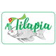 Mr Tilapia