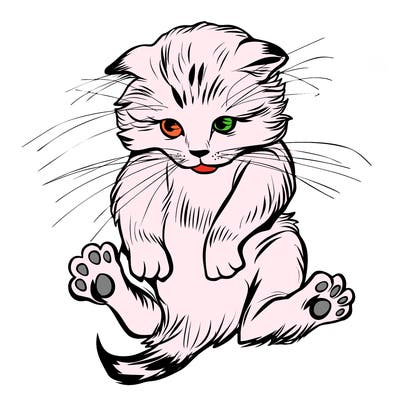 animals_20