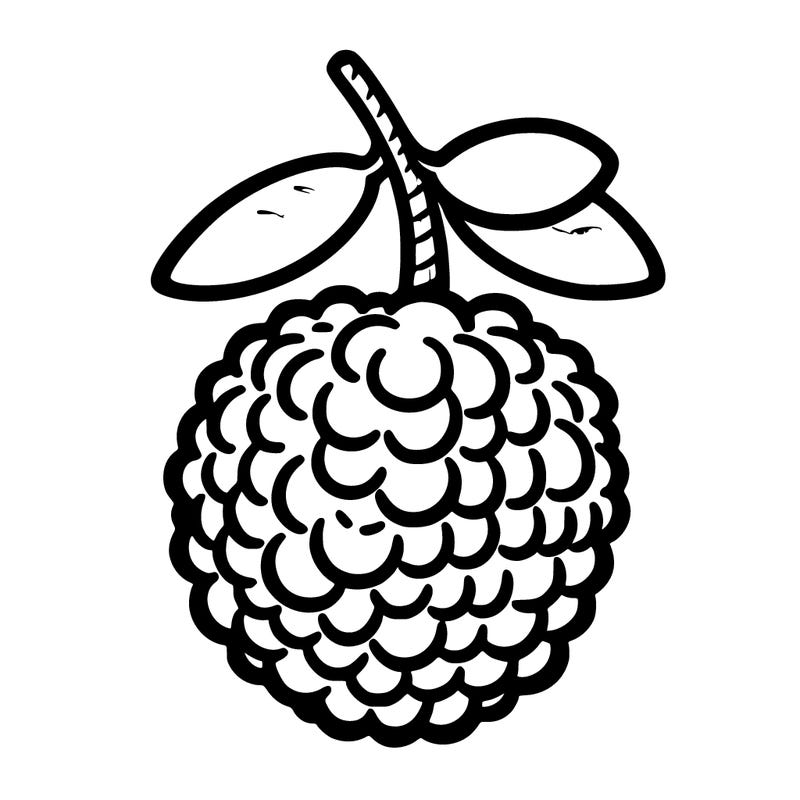 a drawn lychee