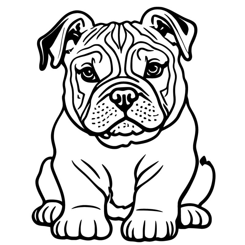 cute prince puppy that’s a bulldog