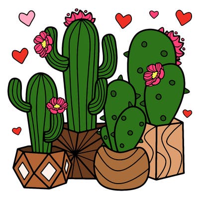 flowers_24_new