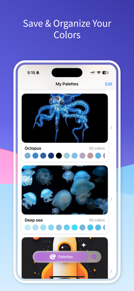 HueMate – Color Extractor - Oberfläche von HueMate, die eine Liste gespeicherter Farbpaletten zeigt, die aus Bildern extrahiert wurden