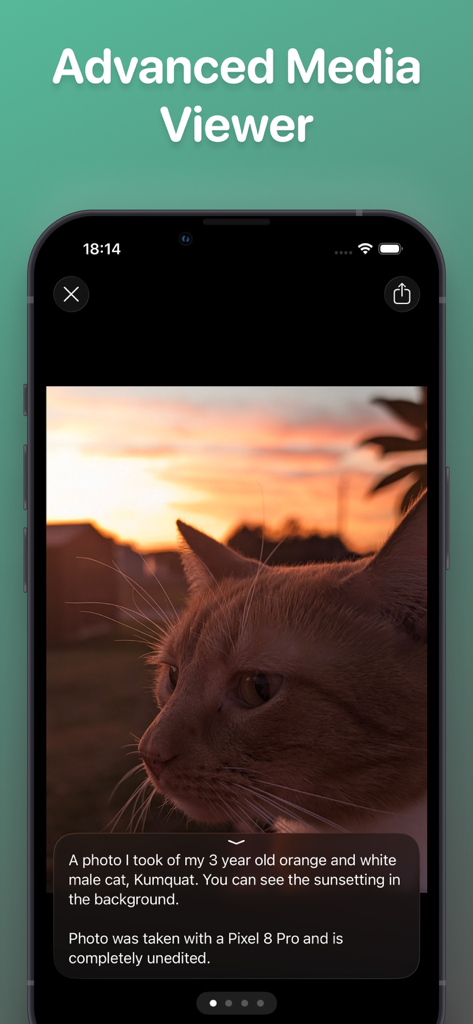 Pipilo - Pipilo Advanced Media Viewer showing a photo of a cat with a text description overlay