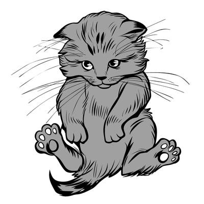 animals_20