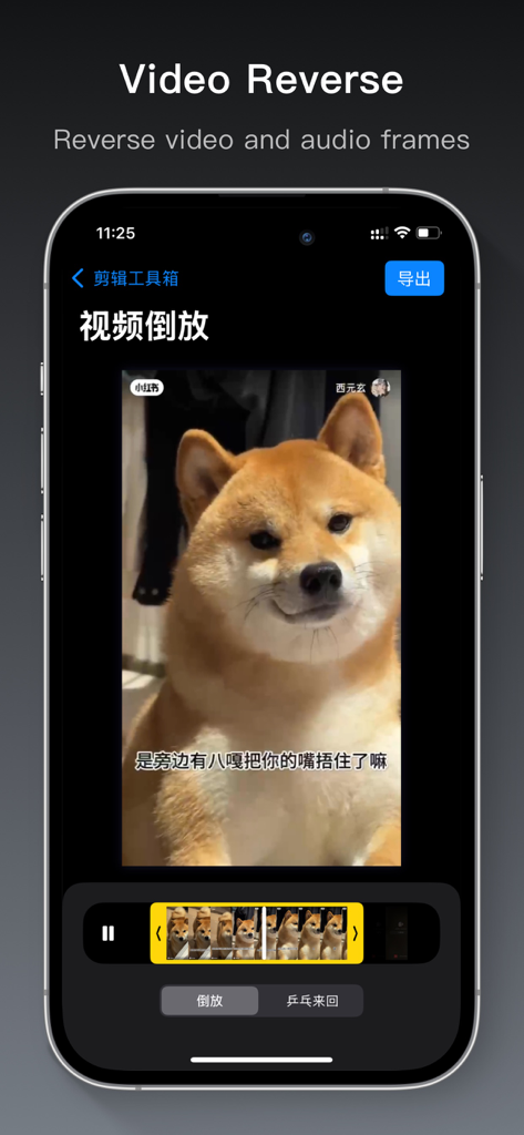 Video Editor Toolbox - Interface do aplicativo Video Editor Toolbox mostrando o recurso de edição reversa de vídeo com um cachorro Shiba Inu na janela de visualização.