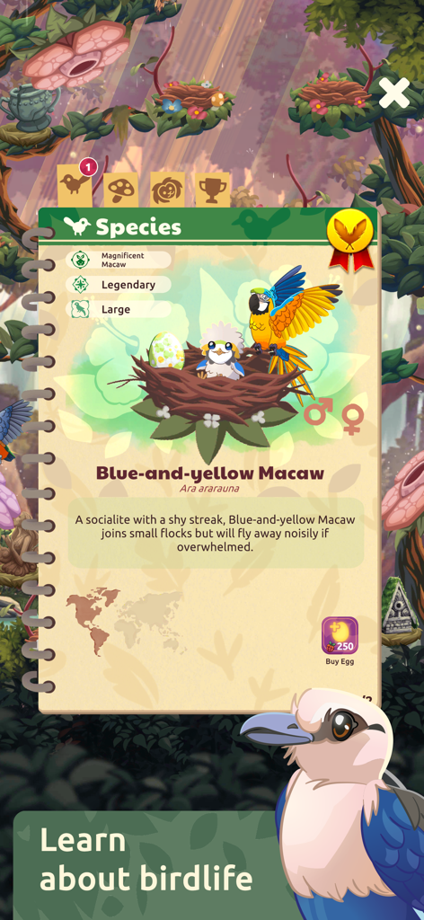 A species profile for the Blue-and-yellow Macaw in the Bird Kind mobile game journal including educational facts.