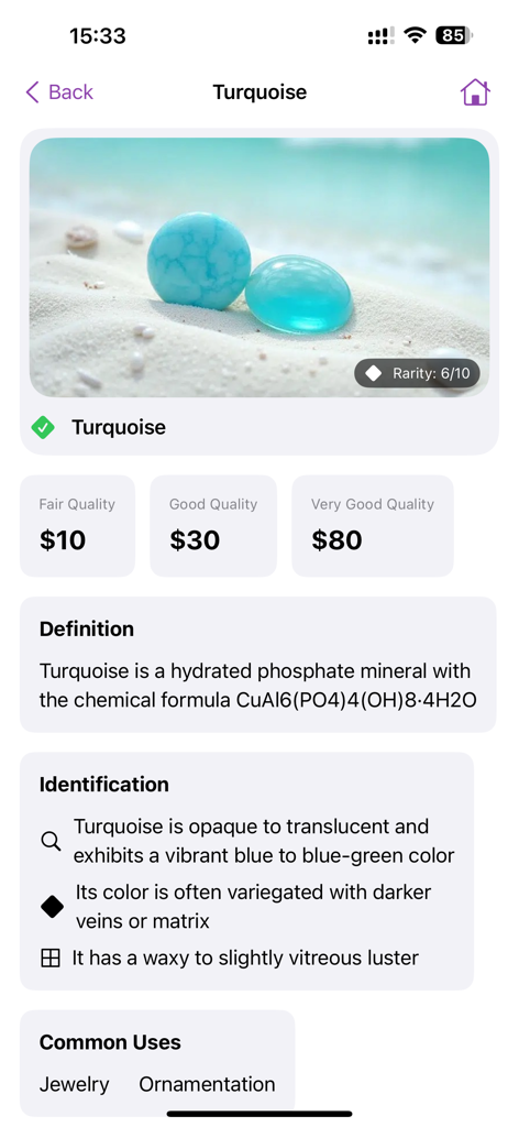 Rock Identifier: Stone Scan ID - A detailed profile of a turquoise stone showing its rarity market value scientific definition and physical identification characteristics within the app