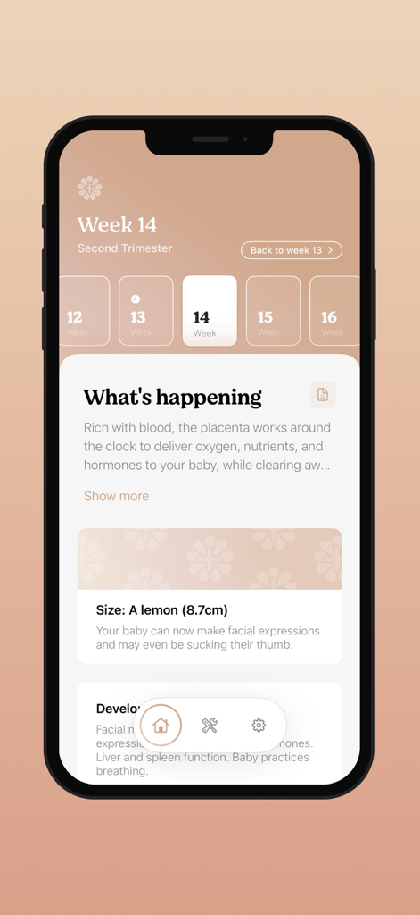 Nine+ Pregnancy Tracking - Captura de pantalla de la aplicación Nine Plus Pregnancy Tracking que muestra los detalles de la semana 14 y el tamaño del bebé en comparación con un limón