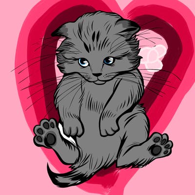 animals_20