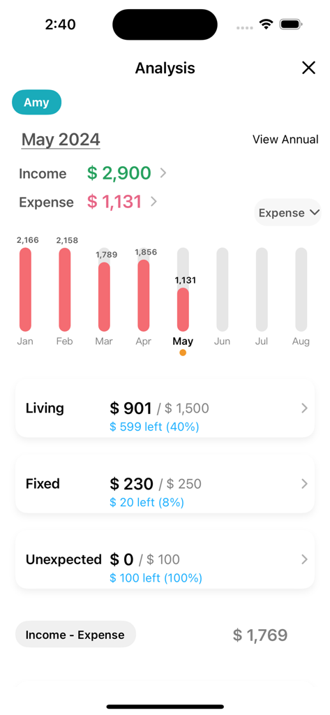 Monthly financial analysis screen showing income expenses and budget breakdown