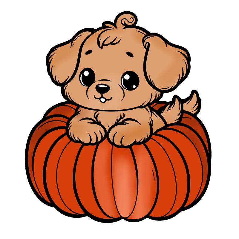 cute little puppy in a pumpkin