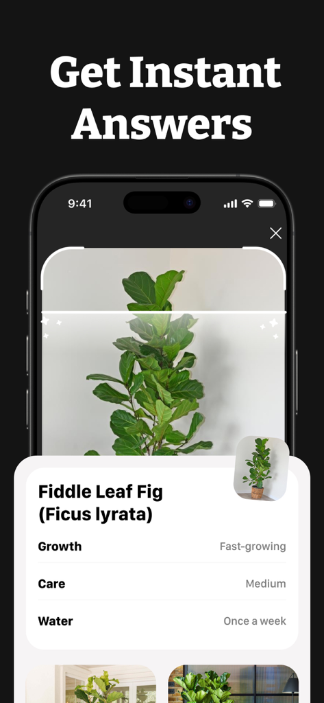 AI Lens Scanner - Image Search - Smartphone screen showing AI Lens Scanner identifying a Fiddle Leaf Fig plant and providing care tips