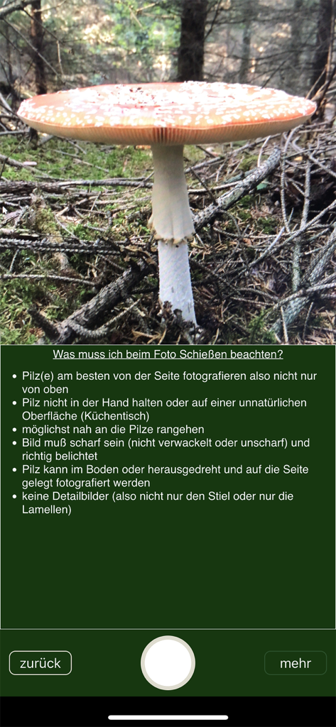 PilzSnap - Pilze sammeln! - Interfaccia fotocamera dell'app PilzSnap che mostra un fungo in una foresta e istruzioni fotografiche tedesche per l'identificazione