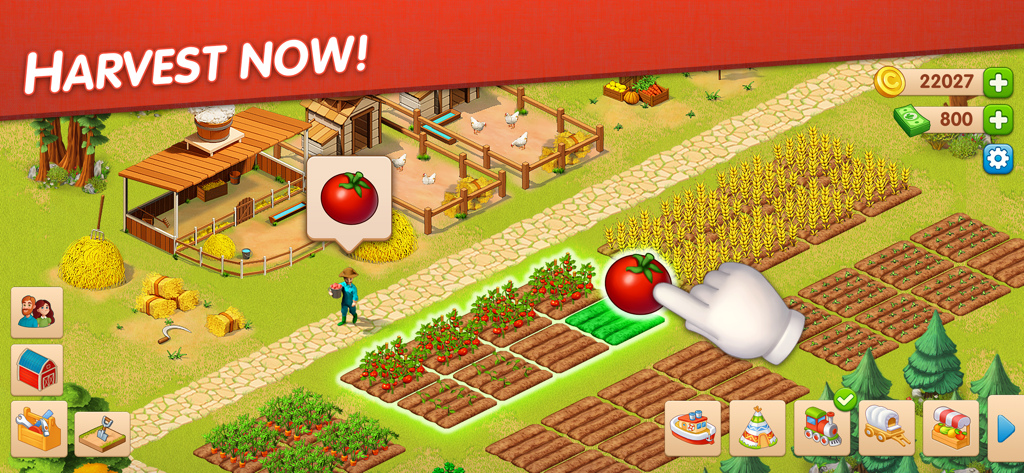 Homesteads: Dream Farm & Town - Gameplay-Screenshot von Homesteads, der zeigt, wie ein Spieler Tomaten und Weizen auf einem virtuellen Bauernhof erntet.