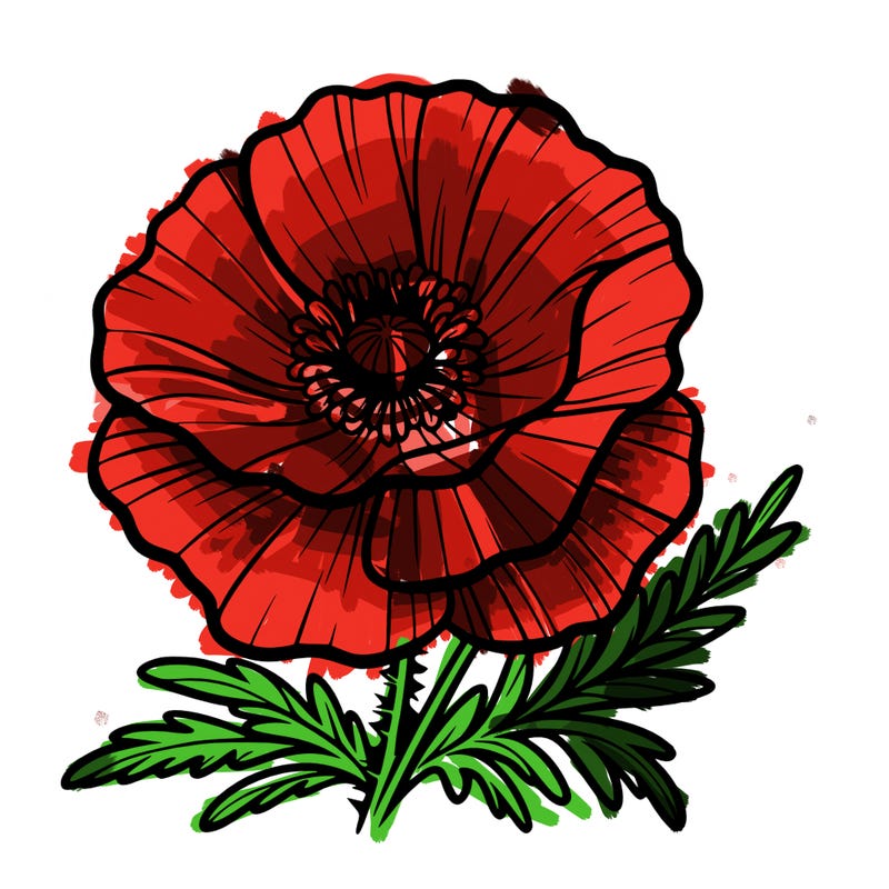 poppy