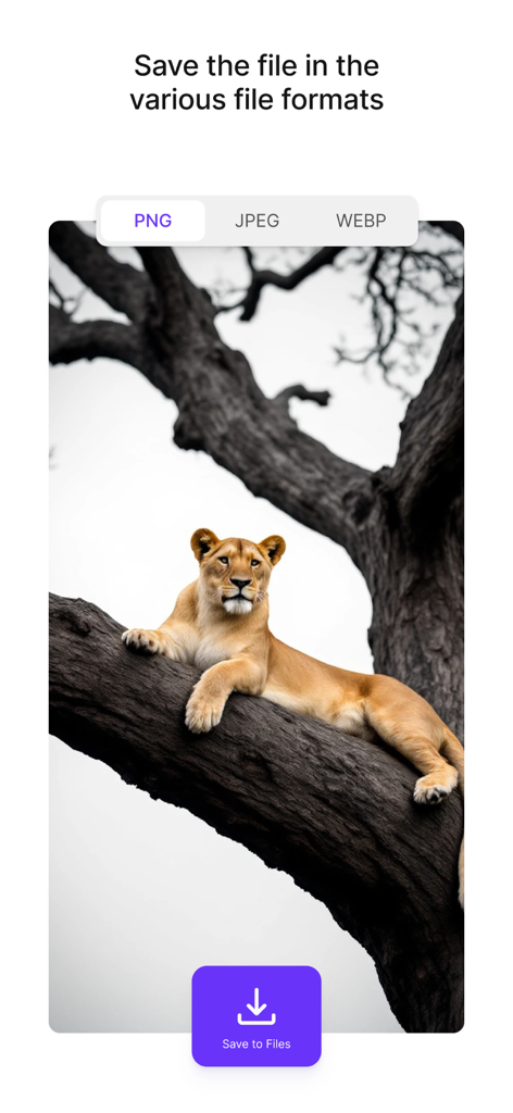 Shrink.media - Shrink.media app interface showing options to save an image in PNG JPEG or WEBP formats