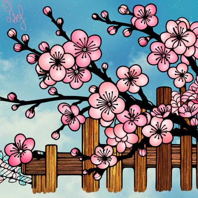 japan cherry blossom