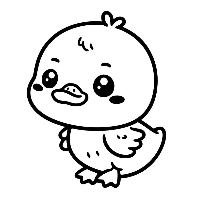 cute baby duck