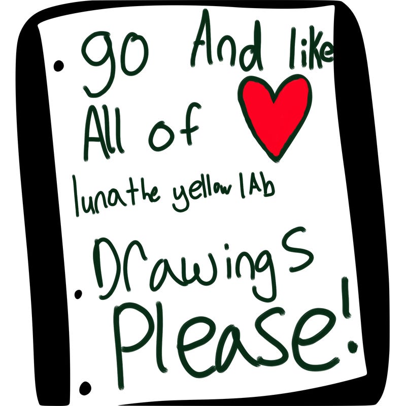 blank white page with nothing drawn on it