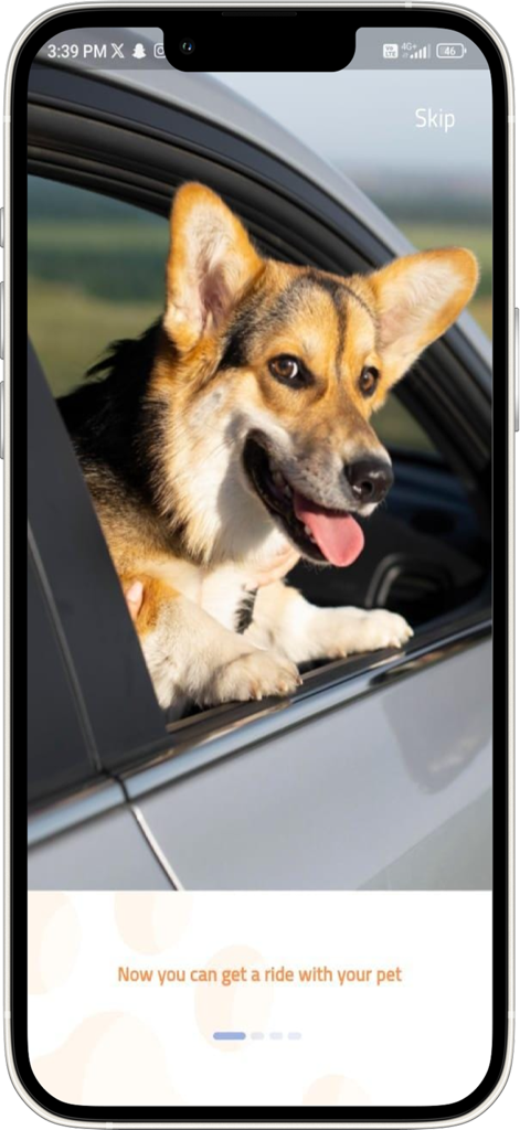 Dog Drive - Un Corgi mirando por la ventana de un coche en la pantalla de incorporación de la aplicación Dog Drive
