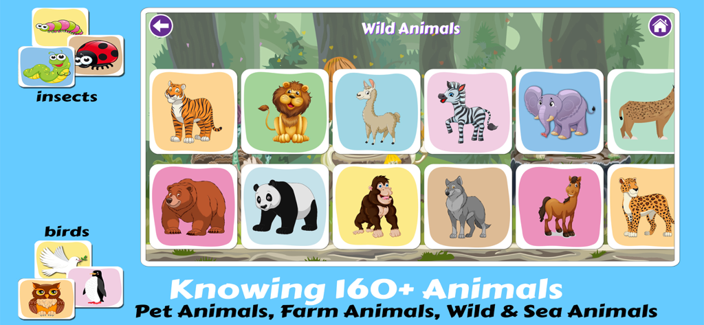 Pre K Preschool Learning Games - Preschool learning app interface featuring a grid of wild animal flashcards like lion and elephant