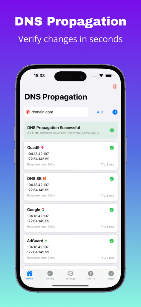 Interface d'application mobile montrant des vérifications réussies de propagation DNS pour un domaine auprès de plusieurs fournisseurs comme Google et Quad9