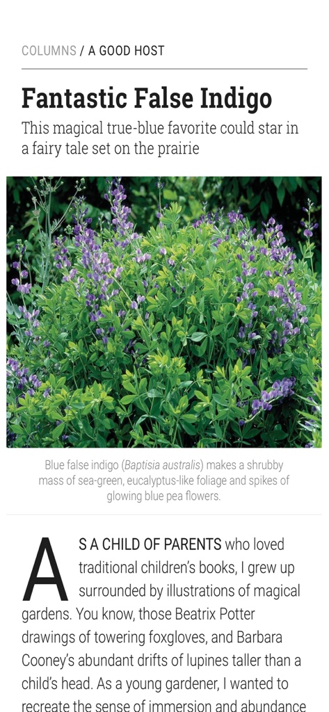 Digital magazine article about Blue False Indigo plants with a photo of purple flowers and green leaves