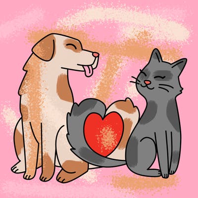 animals_22
