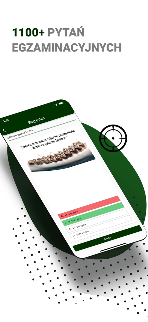 Interfaz de la aplicación móvil Egzamin Łowiecki mostrando una pregunta de examen de caza sobre biología del ciervo con opciones de respuesta múltiple