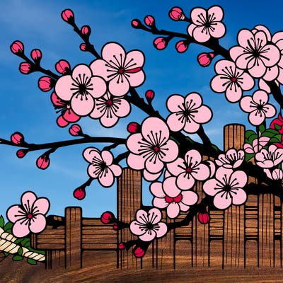 japan cherry blossom